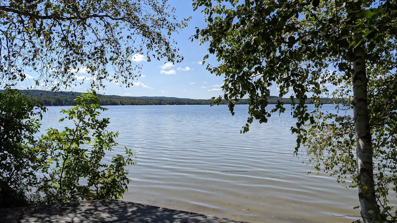 Homecoming at Camp Petosega